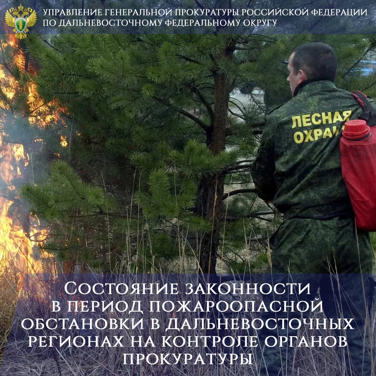 На Дальнем Востоке с начала пожароопасного сезона зарегистрировано  свыше 1,8 тыс. лесных пожаров. .